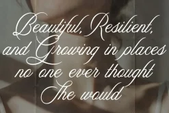 Aesthetics Romantic Script