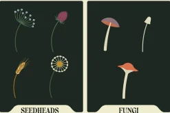 Affinity Flower & Foliage Brushes
