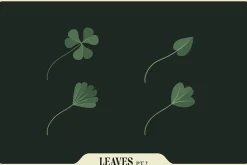 Affinity Flower & Foliage Brushes