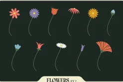 Affinity Flower & Foliage Brushes