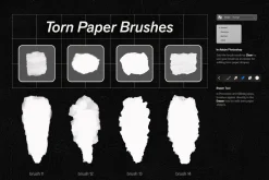 Affinity Paper Torn Paper Brushes