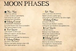Afterdark vintage font duo