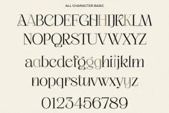 Ageya - Modern Elegant Serif Font