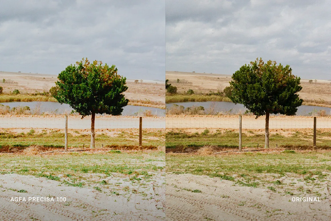 Agfa Precisa 100