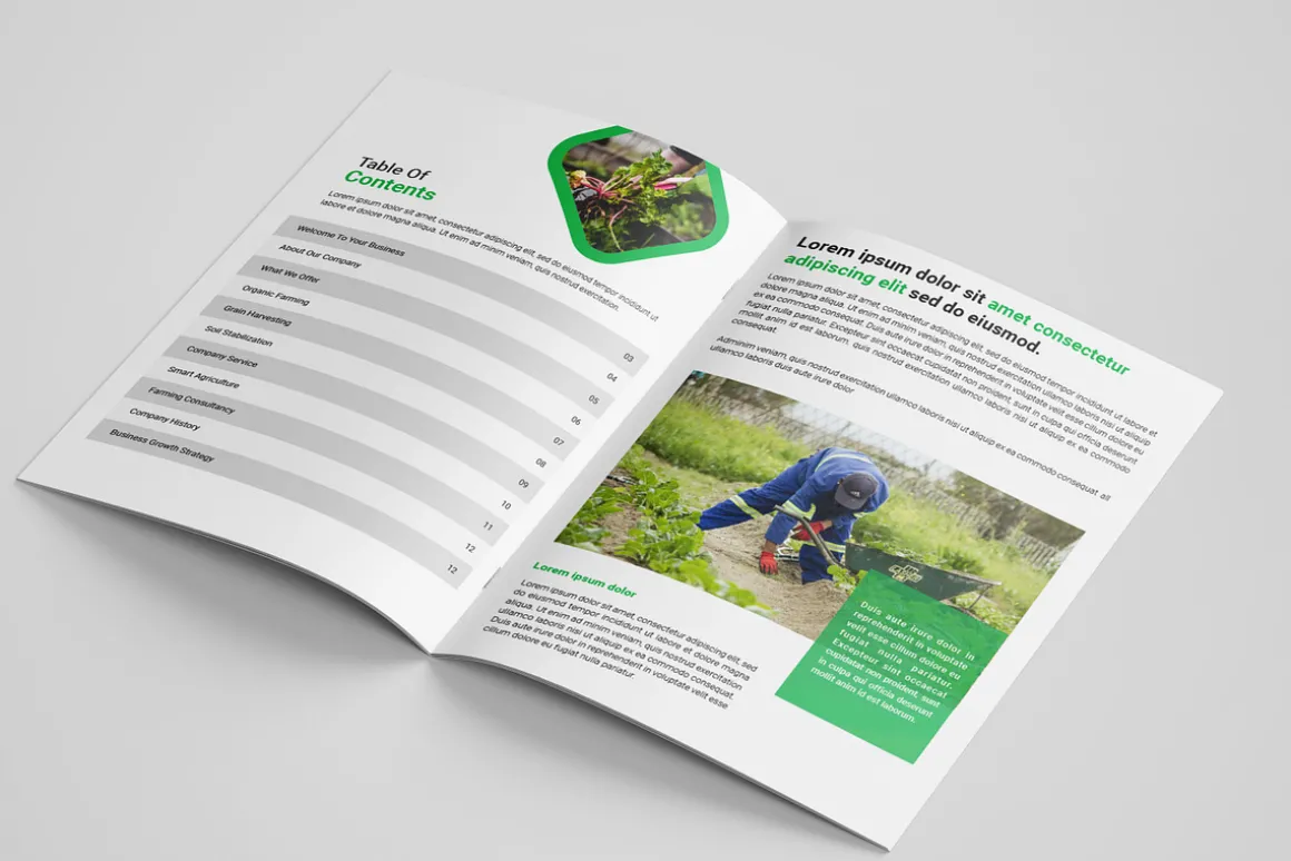 Agriculture farming brochure