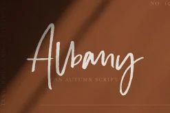 Albany | An Autumn Script
