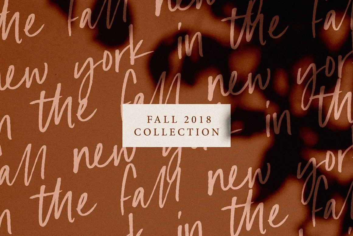 Albany | An Autumn Script
