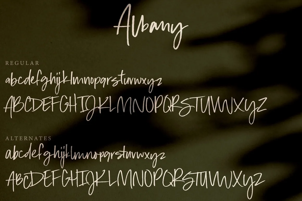 Albany | An Autumn Script