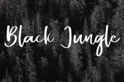 Alentine Typeface 2 Font
