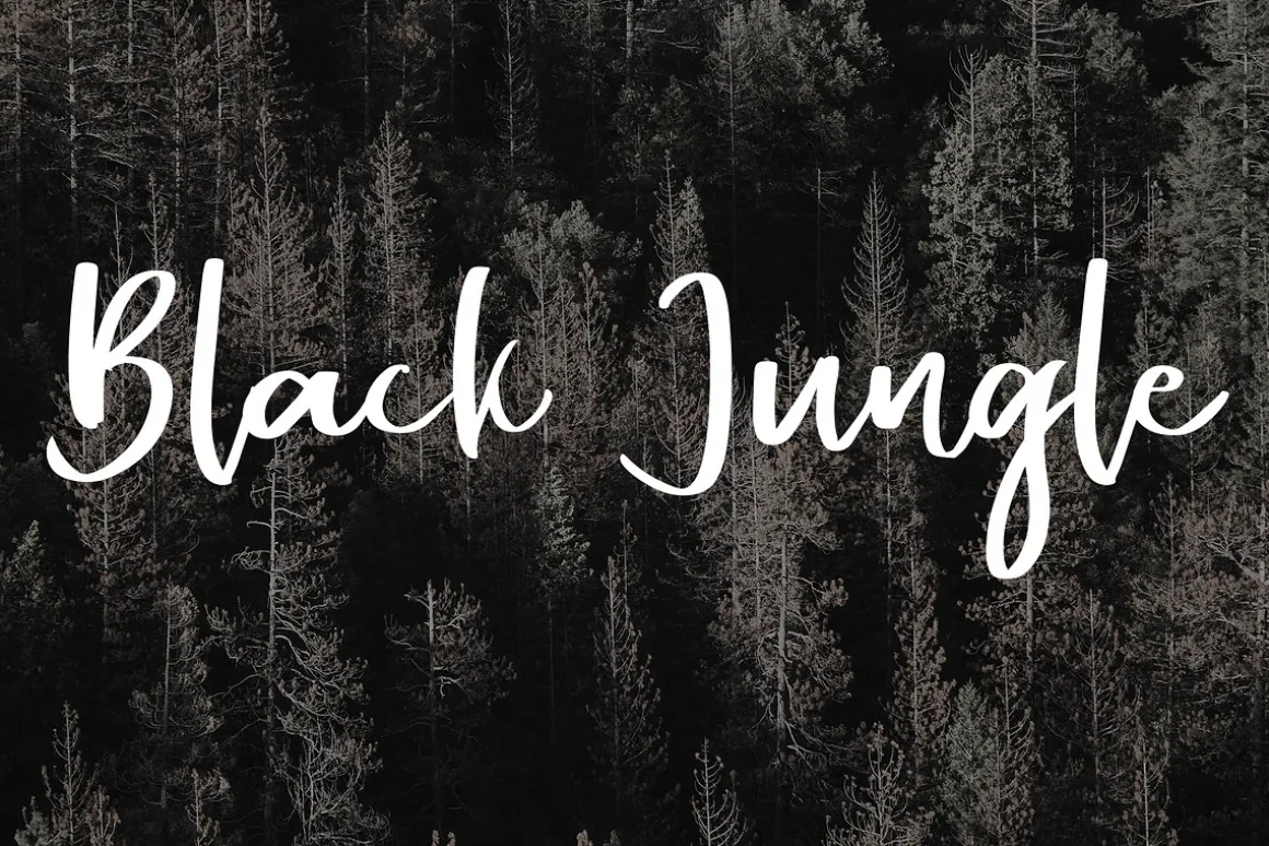Alentine Typeface 2 Font