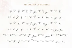 Alexandra Calligraphy