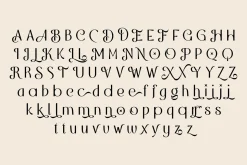 Algha | Beauty Sans Serif