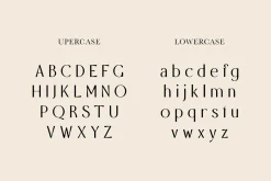 Algha | Beauty Sans Serif