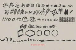 Alinka Brush Font