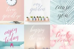 Alivia script