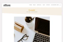 Allison Divi child theme