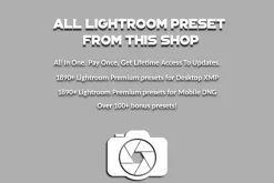 1890+ All Lightroom Presets