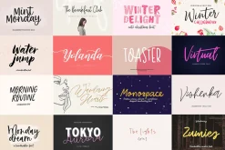 ALL MY FONTS Bundle