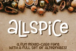 Allspice: a fun mixed-case font!