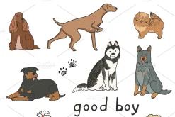 Alphabet Dogs