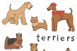 Alphabet Dogs