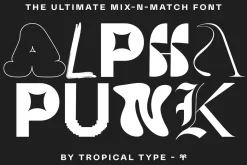 Alpha Punk - Mix and Match Font
