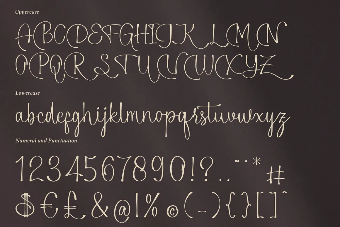Alphiness | Handwritten Script Font