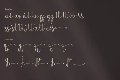 Alphiness | Handwritten Script Font