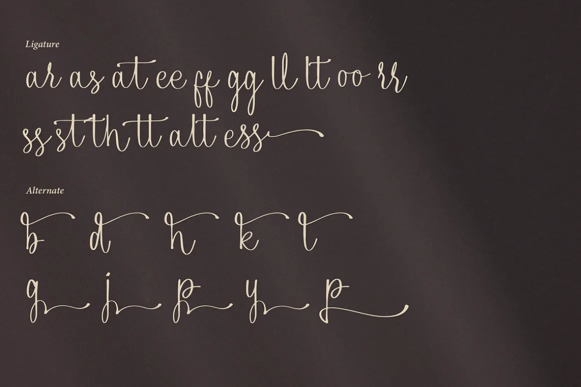 Alphiness | Handwritten Script Font