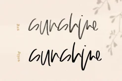 Always - SVG & Solid Script Font