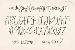 Always - SVG & Solid Script Font
