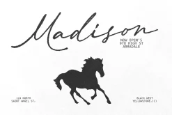 Always Classy – Elegant Handwritten