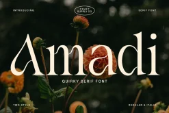 Amadi - Quirky Serif Font