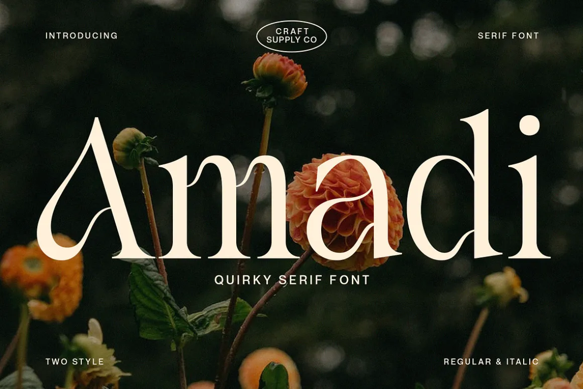 Amadi - Quirky Serif Font