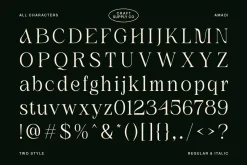 Amadi - Quirky Serif Font