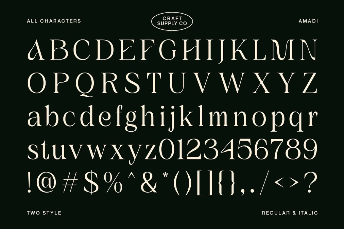 Amadi - Quirky Serif Font