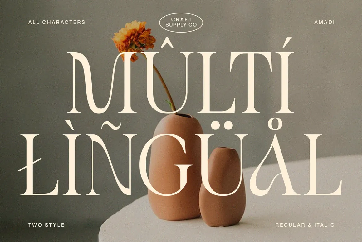 Amadi - Quirky Serif Font