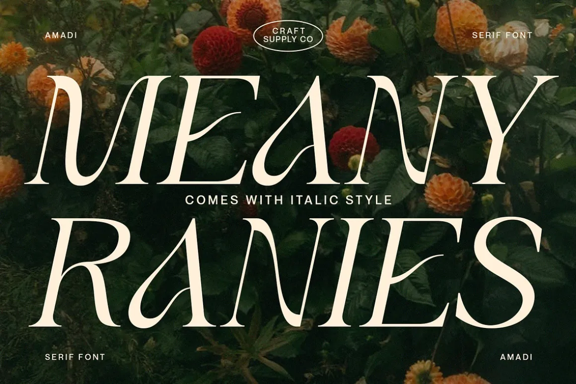 Amadi - Quirky Serif Font