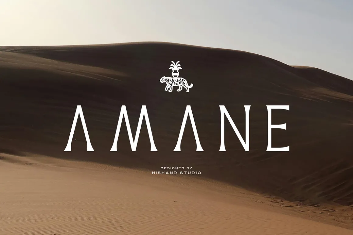 AMANE Serif Font