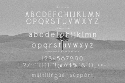 AMANE Serif Font