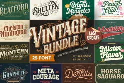 Amazed Vintage Font Bundle - SALE!