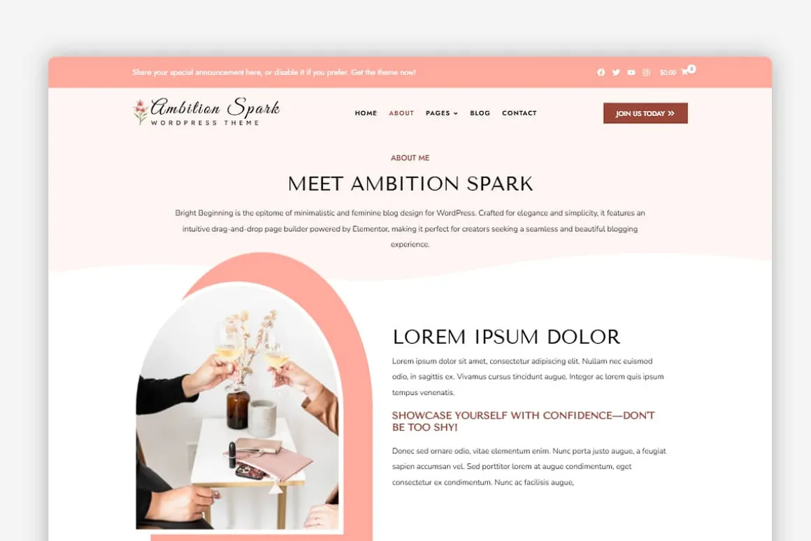 Ambition Spark WordPress Theme