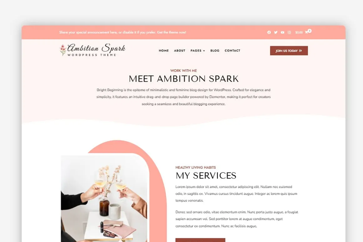 Ambition Spark WordPress Theme