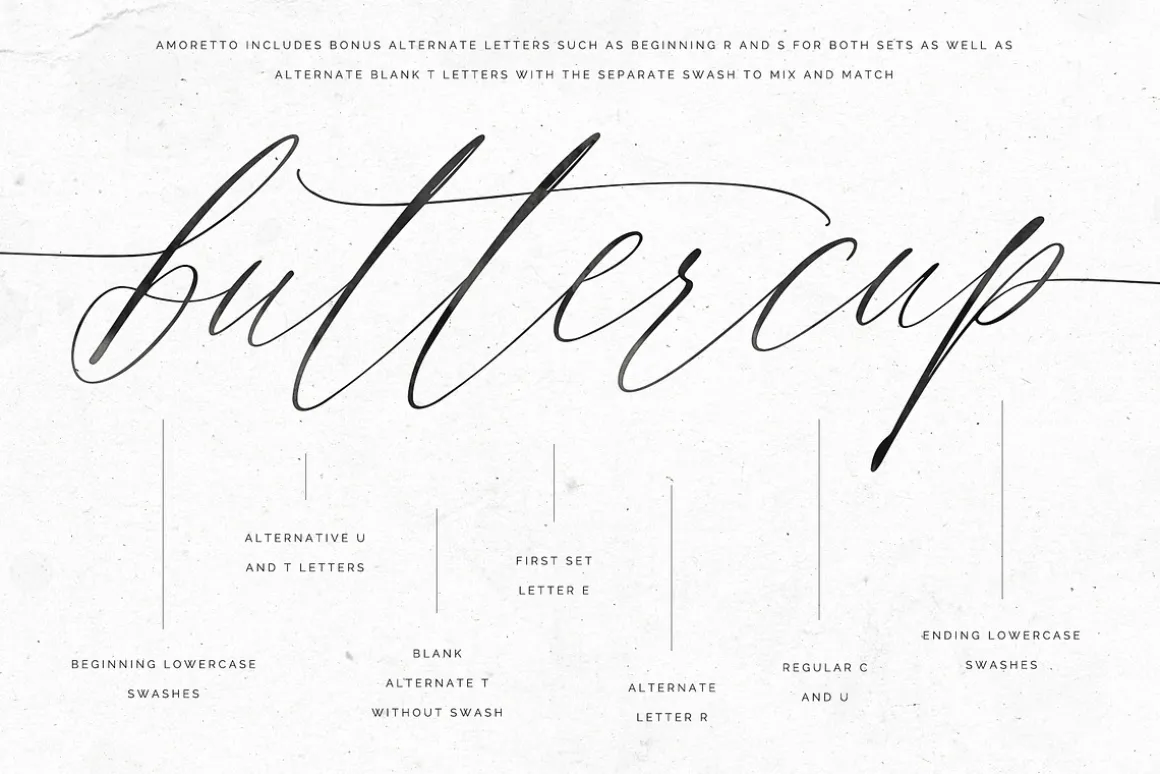 Amoretto | Modern Calligraphy Script