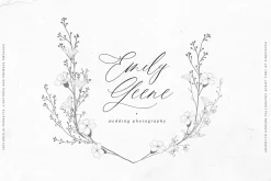 Amoretto | Modern Calligraphy Script