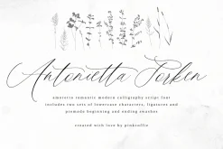 Amoretto | Modern Calligraphy Script