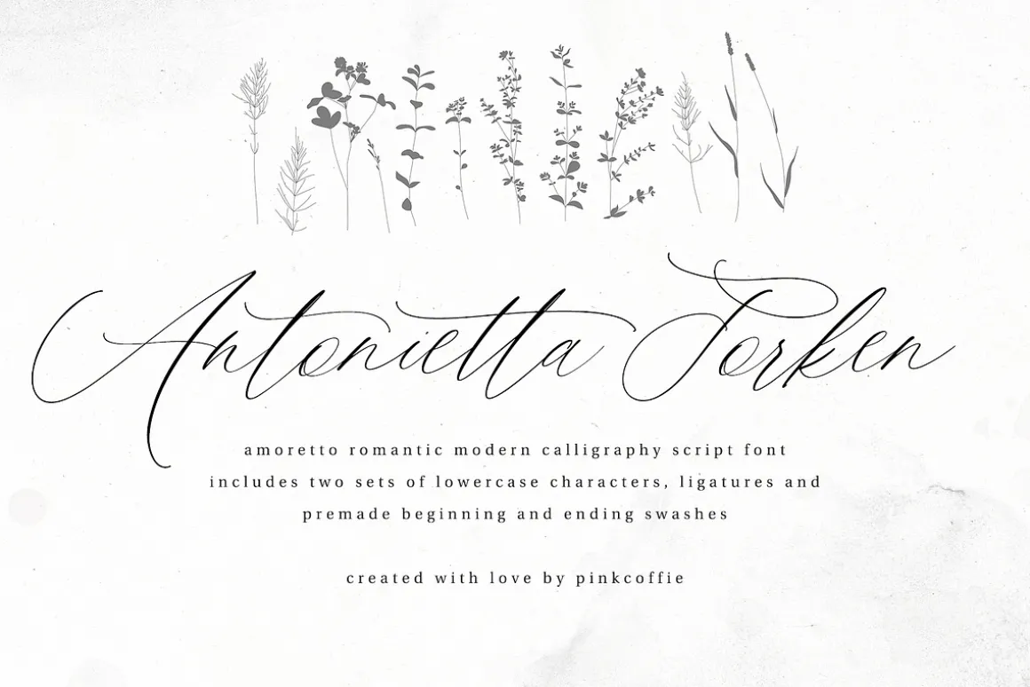 Amoretto | Modern Calligraphy Script