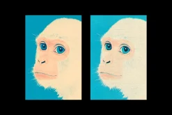 Anaglyph Print Design Poster Effect