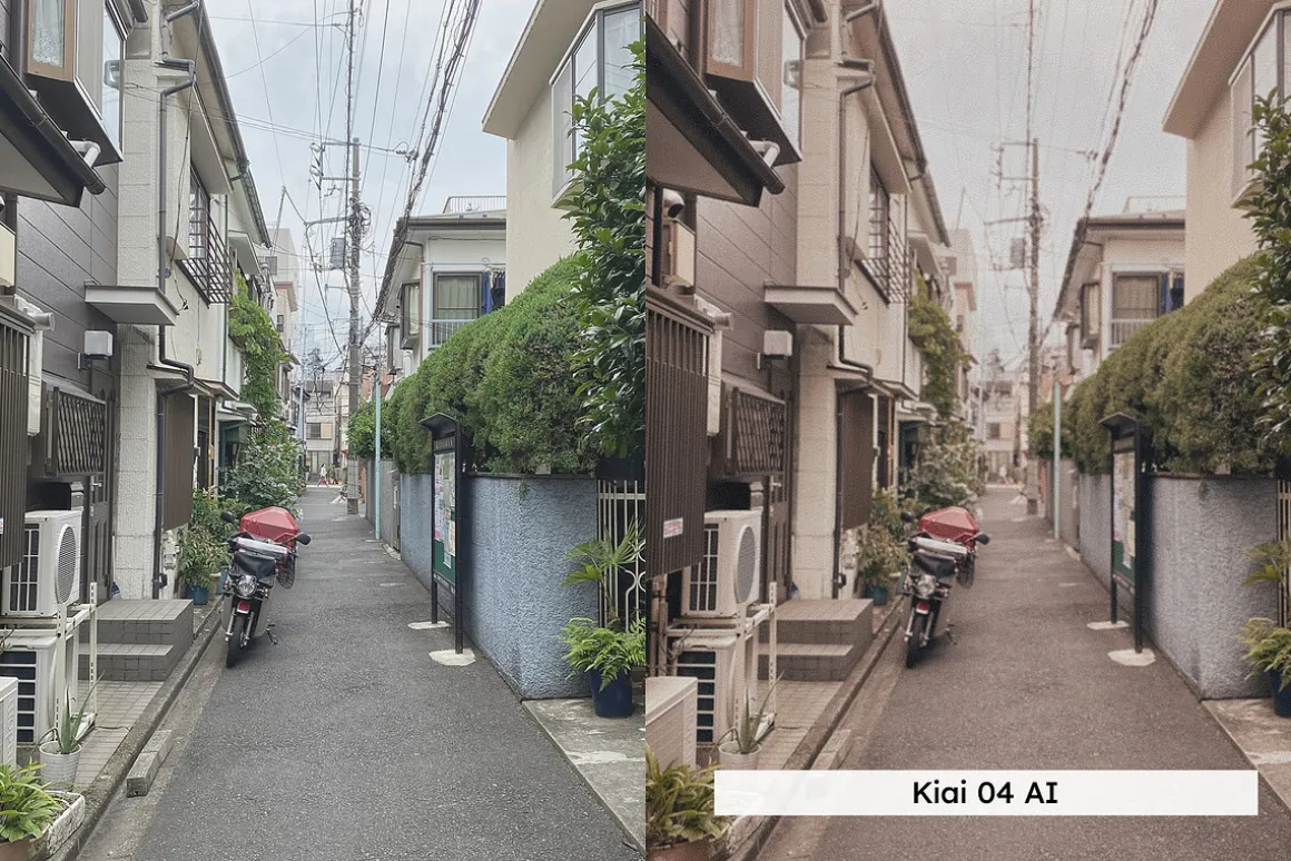 20 Analog Japan Lightroom Presets