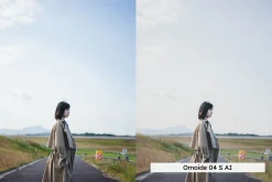 20 Analog Japan Lightroom Presets